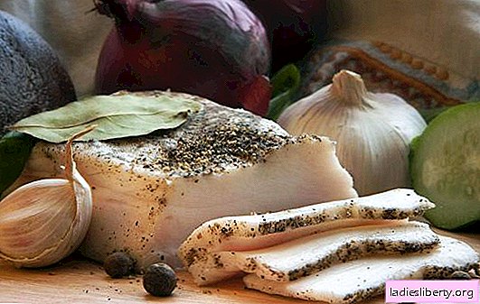Lardo con aglio - un piatto democratico per tutti i gusti. Una raccolta di ricette di pancetta con aglio gourmet
