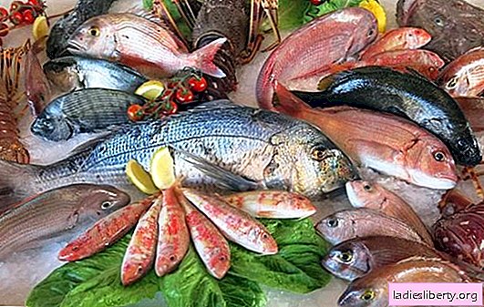 O peixe mais útil: rio ou mar. Existe um peixe que mais beneficia, ou o peixe inteiro é igualmente saudável?