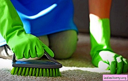 The best carpet cleaners. Rating of quality products of foreign and domestic manufacturers