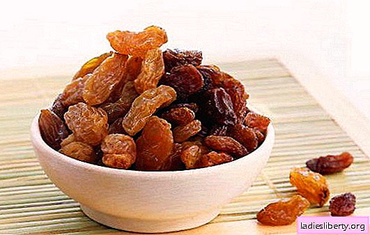 The sweetest dried fruit is raisins: what are its benefits and harms? Worldly observations and scientific facts about the benefits and harms of raisins for the body