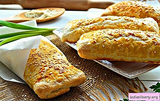 Samsa with potatoes - a pie with its secrets. Cooking homemade samsa with potatoes and chicken, onions, meat, cheese