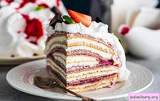 Tajemství výroby palačinka tvarohový dort. Šest receptů na klasický a originální palačinka s tvarohem