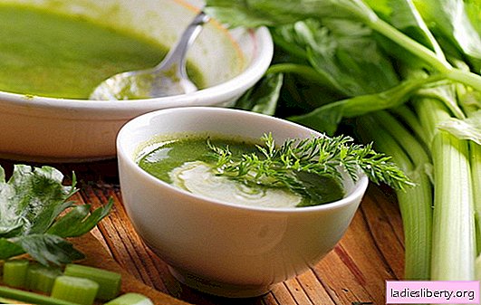 Soupe de céleri pour perdre du poids - la bonne recette. Conditions d'utilisation céleri soupe pour perdre du poids et récupérer