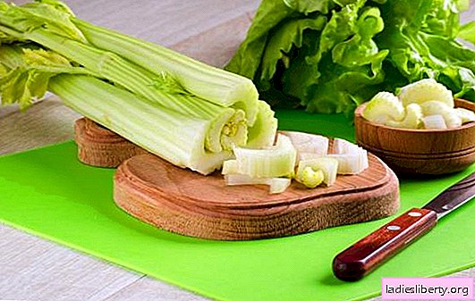 Celery: benefits and harms to your health. What more? The opinion of a dietitian