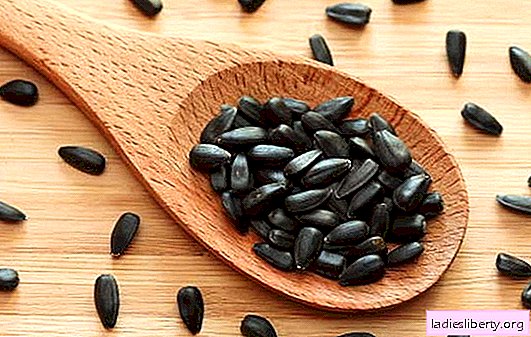 Sunflower seeds are such familiar strangers. Benefits and possible harm, calorie content and properties of sunflower seeds