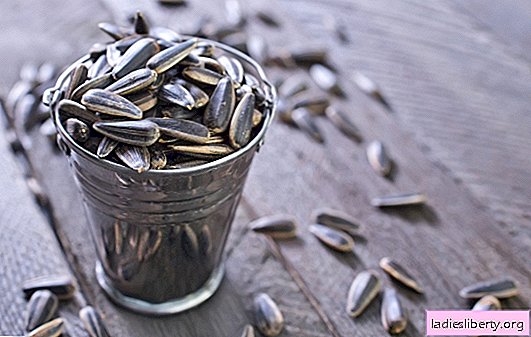 Seeds: benefits and harms to your health. What more? Dietitian explains
