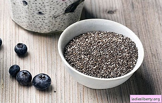 Chia sjemenke - što jedu? Čitava istina o popularnoj superhrani: kako, zašto i da li koristiti chia sjemenke