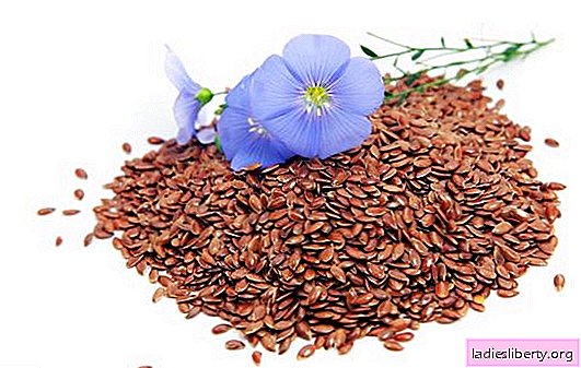 Les graines de lin - quelle est leur utilité et peuvent-elles nuire à la santé? Comment prendre les graines de lin, quelle est leur teneur en calories
