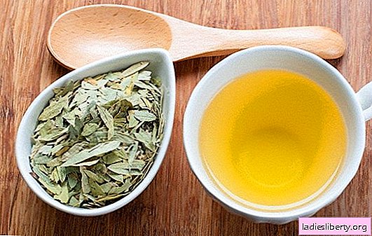 Senna for weight loss: recipes for weight loss, rules for use. Is Senna effective for weight loss: the secret of bitter weed