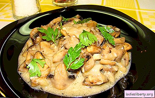 Champignons in sour cream is not only a julienne! Recipes for delicious champignons in sour cream: fried, stewed, baked
