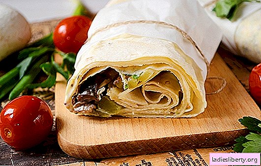 Lavash a kuřecí řízek shawarma s houbami - domácí rychlé občerstvení. Podrobný autorův recept na lahodnou domácí shawarmu