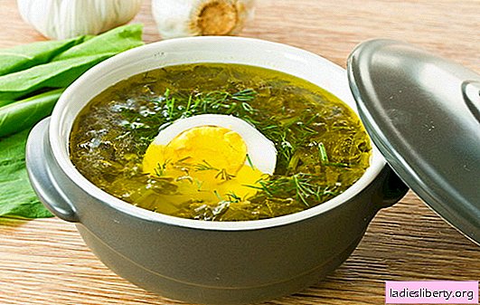 Sorrel soup is the charge of summer mood! Recipes of sorrel soup with egg, meatballs, rice, chicken, stew