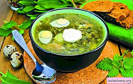 Sorrel soup - fast, fresh, tasty. Simple recipes for sorrel soup without meat, on bone broth, with brisket, cream