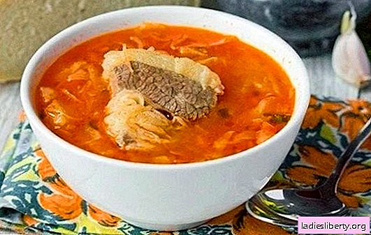 Cabbage soup on meat broth - always true! We prepare aromatic, tasty cabbage soup on meat broth from fresh and sauerkraut according to the best recipes