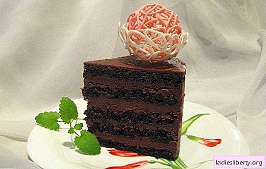 Chocolate sponge cake - an exceptional dessert! Recipes for delicate and always delicious chocolate biscuit cakes