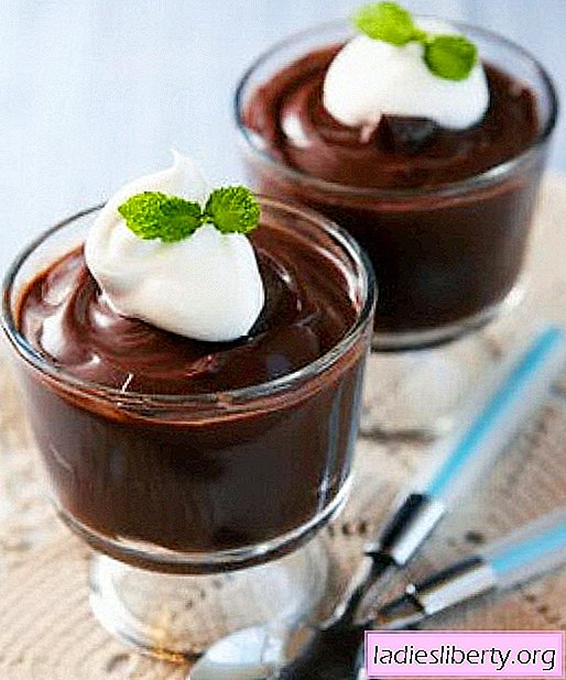 Schokoladenpudding - die besten Rezepte. Wie man Schokoladenpudding richtig und köstlich zubereitet.