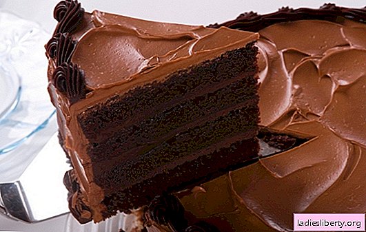 Gâteau au chocolat avec cacao - la dent sucrée sera ravie! Meilleures recettes de gâteaux au chocolat et au cacao