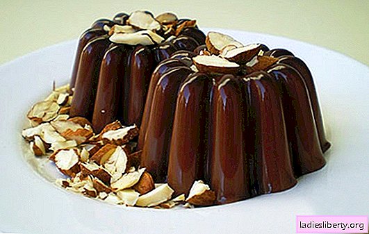 Čokoládová želé pre milovníkov ľahkých receptov. Top 8 čokoládových želé nápadov: s tvarohom, smotanovými sušienkami, tekvica