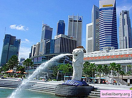 Singapore - recreation, sights, weather, cuisine, tours, photos, map