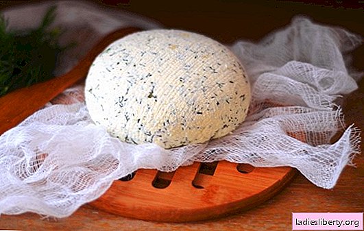 Kefir cheese at home - delicious, economical, healthy. How to cook different types of kefir cheese at home