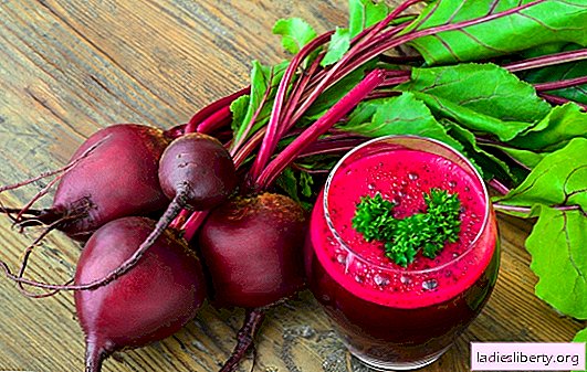 Raw beets - do we all know about her? Information about the benefits and contraindications to the use of raw beets, recipes and tips