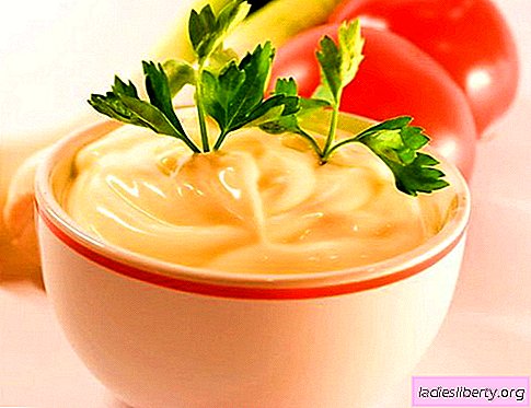 Cheese sauce - the best recipes. How to cook cheese sauce correctly and tasty.