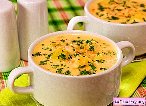 Soupe au fromage - les meilleures recettes. Comment faire cuire la soupe au fromage correctement et savoureuse.