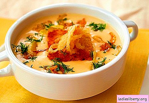 Sūrio grietinėlės sriuba - geriausi receptai. Kaip tinkamai ir skanu virti sūrio sriubą.