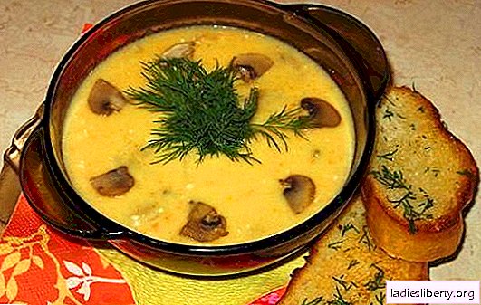 Sup keju dengan cendawan - lembut, enak, memuaskan. Resipi sup keju yang terbaik dengan cendawan dan ayam, sayur-sayuran dan daging salai
