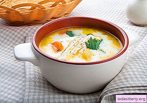 Sup keju dengan ayam - resipi terbaik. Bagaimana dengan betul dan lazat sup keju masak dengan ayam.