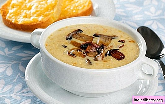 Cheese soup with mushrooms - surprise home unusual dinner. Recipes for cheese soup with mushrooms: read and cook!
