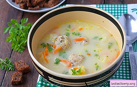 Zupa serowa w powolnej kuchence - szybko! Najlepsze przepisy na zupę serową w powolnym naczyniu: z kiełbasą, rybą, pieczarkami, kapustą, ryżem
