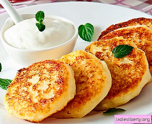 Cottage cheese pancakes - classic, semolina, lush, in the oven - the best recipes. How to cook them