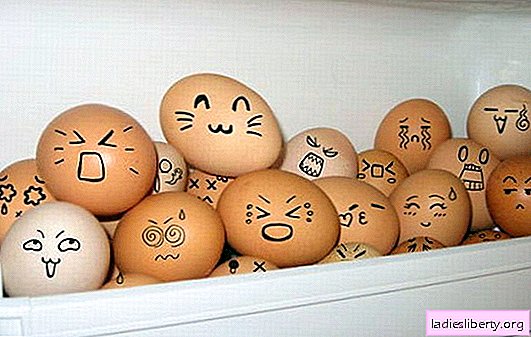 ¿Cuánto puede almacenar los huevos (cortados y crudos) en el refrigerador? Condiciones de almacenamiento de huevos: normas de seguridad.