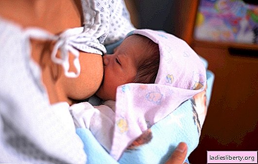 ¿Cuántas veces al día debe comer un recién nacido y cómo alimentarlo? Qué determina cuántas veces al día debe comer un bebé recién nacido