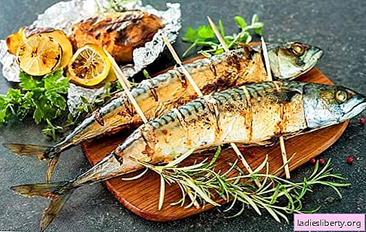 سمك الماكريل المشوي - أفضل وصفات لمياه مالحة وتقديم. كيف لطهي سمك الماكريل المشوي مع الصلصات حار وحار