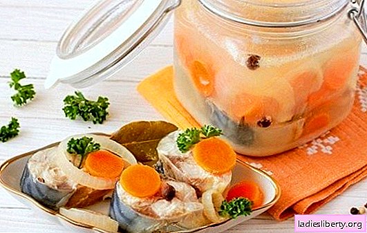 Le maquereau aux carottes est un poisson incroyablement savoureux. Recettes pour le maquereau aux carottes: au four, cuit au four, au four, mariné
