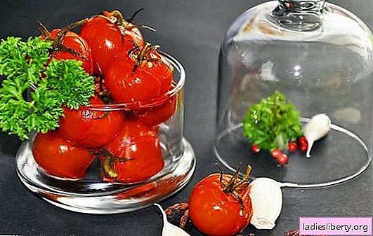 Sweet tomatoes for the winter: with honey, grapes, apple, watermelon or berry juice. Original recipes of sweet tomatoes for the winter