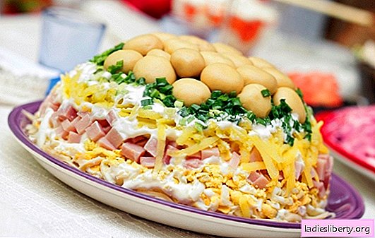 Puff ham salad is an appetizer for all occasions. Puff salad recipes with ham, potatoes, prunes, chips