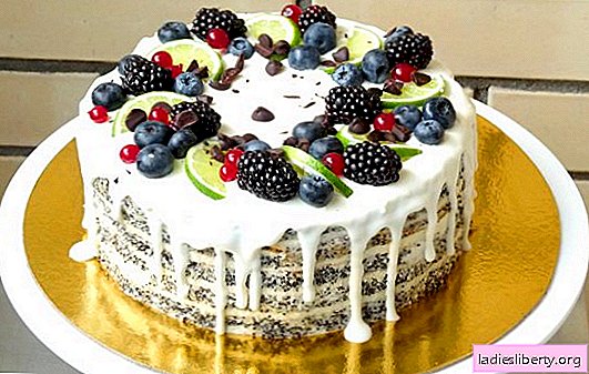 Sour cream cake: a step by step recipe for homemade goodies. Vanilla, chocolate, jelly sour cream cakes (step by step recipes)