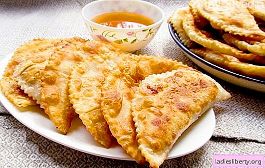 Juicy pasties and home made easy! Recipes of fragrant, crunchy, juicy pasties from different types of dough and minced meat