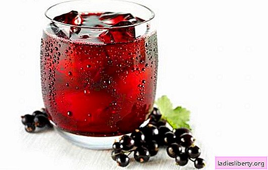 Currant juice - an entire army of vitamins! Formulations of different juices from red and black currants