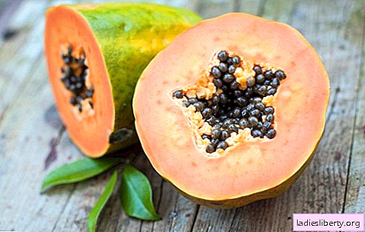 Der Schatz der alten Azteken - Papaya - ein großzügiges Geschenk tropischer Natur, einzigartige wohltuende Eigenschaften. Was ist der Schaden von Papaya?