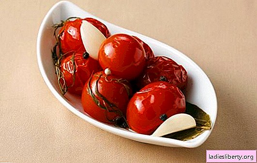 Salted tomatoes for the winter: a piggy bank of vitamins. Simple and tasty options for cooking salted tomatoes for the winter
