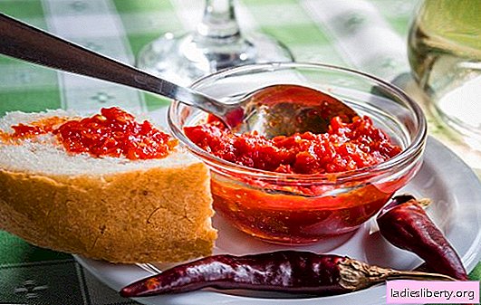 Satsebeli sauce is a flavorful addition. Options for sauce satsebeli from grapes, cherry plum, plums, with tomato paste, starch, nuts