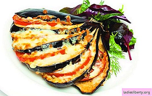 Ways to cook eggplant with cheese and garlic. Eggplant with cheese and garlic is not only an appetizer, but also a side dish