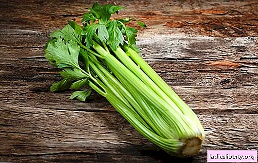 A celery stalk is a doctor in our refrigerator. What benefits does the use of celery stem bring to the body? Is there any harm?