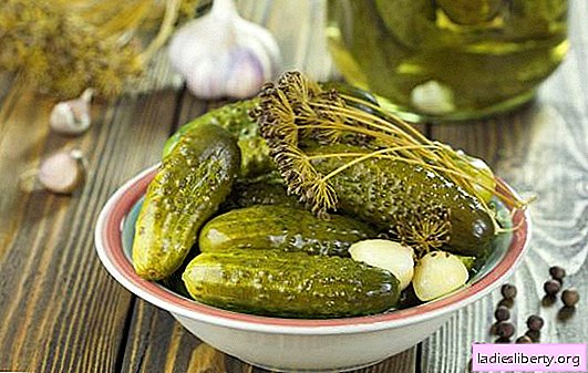 Er det værd at frygte skade fra pickles? Fantastiske fakta om fordelene ved pickles, kontraindikationer