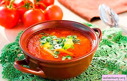 Sopa Kharcho: cocinamos según recetas simples. Las sutilezas y los secretos de cocinar la sopa de kharcho: recetas simples con carne de res, cordero y pollo.