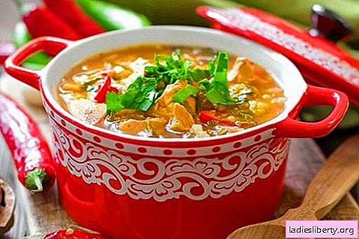Chicken Kharcho soup - the best recipes. How to properly and tasty cook soup Kharcho of chicken.
